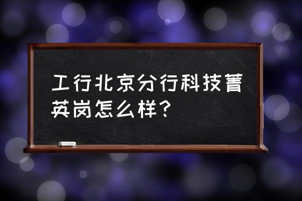 工行北京分行待遇 工行北京分行科技菁英岗怎么样？