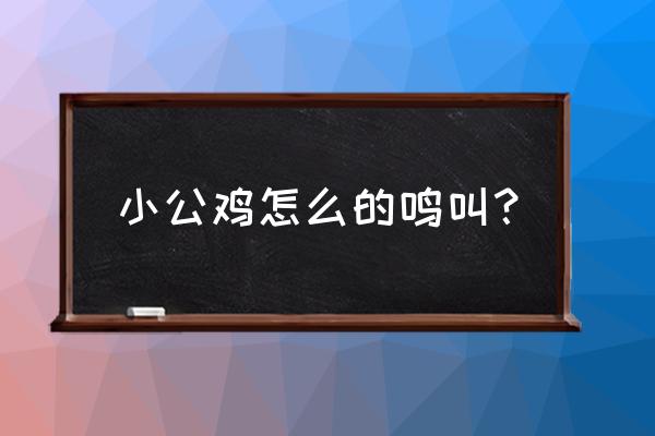 公鸡打鸣叫声 小公鸡怎么的鸣叫？